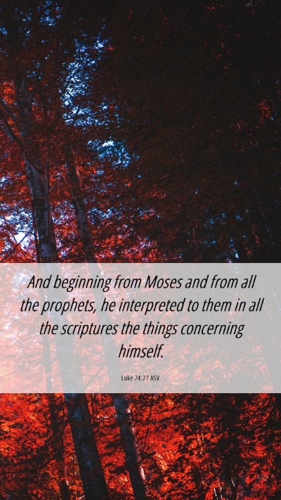 Picture 06 - Luke 24:27 ASV Mobile Phone Wallpaper - And beginning from Moses and from all the - Mobile Bible Verse Wallpaper