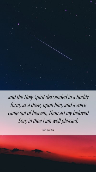 Picture 06 - Luke 3:22 ASV Mobile Phone Wallpaper - and the Holy Spirit descended in a bodily form, - Mobile Bible Verse Wallpaper
