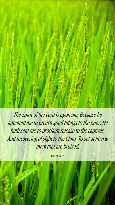 Picture 06 - Luke 4:18 ASV Mobile Phone Wallpaper - The Spirit of the Lord is upon me, Because he - Mobile Bible Verse Wallpaper