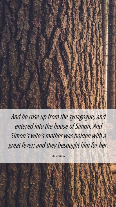 Picture 06 - Luke 4:38 ASV Mobile Phone Wallpaper - And he rose up from the synagogue, and entered - Mobile Bible Verse Wallpaper