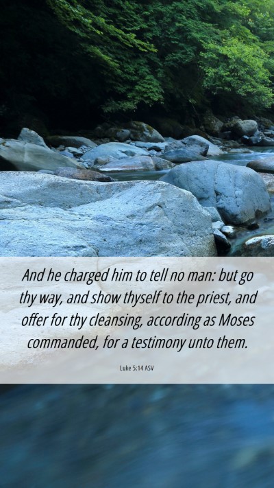 Picture 06 - Luke 5:14 ASV Mobile Phone Wallpaper - And he charged him to tell no man: but go thy - Mobile Bible Verse Wallpaper