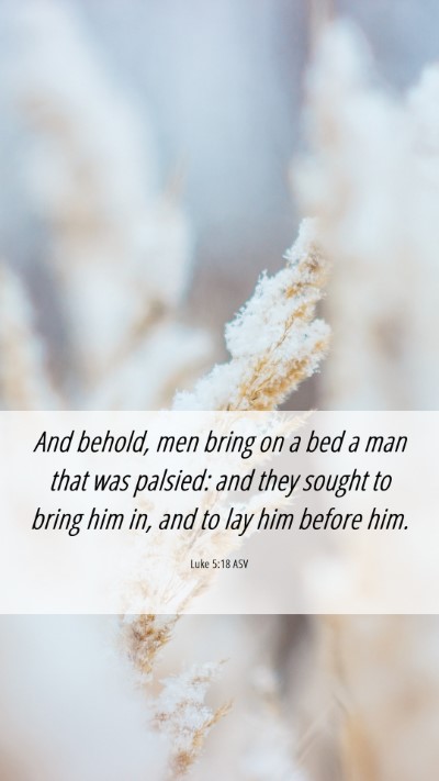 Picture 06 - Luke 5:18 ASV Mobile Phone Wallpaper - And behold, men bring on a bed a man that was - Mobile Bible Verse Wallpaper