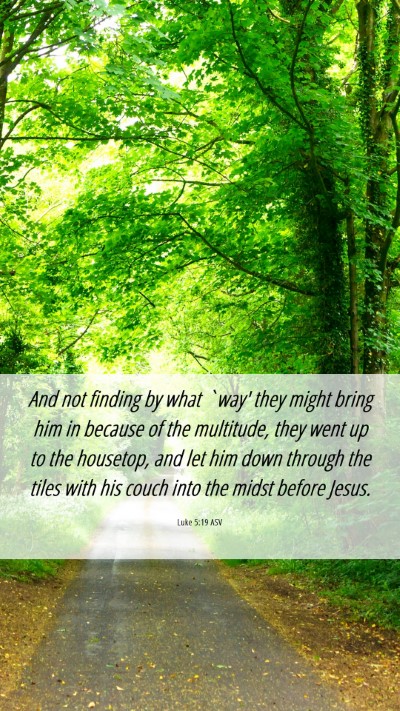 Picture 06 - Luke 5:19 ASV Mobile Phone Wallpaper - And not finding by what `way' they might bring - Mobile Bible Verse Wallpaper