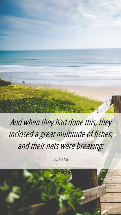 Picture 06 - Luke 5:6 ASV Mobile Phone Wallpaper - And when they had done this, they inclosed a - Mobile Bible Verse Wallpaper