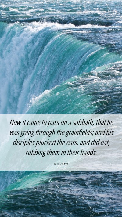 Picture 06 - Luke 6:1 ASV Mobile Phone Wallpaper - Now it came to pass on a sabbath, that he was - Mobile Bible Verse Wallpaper