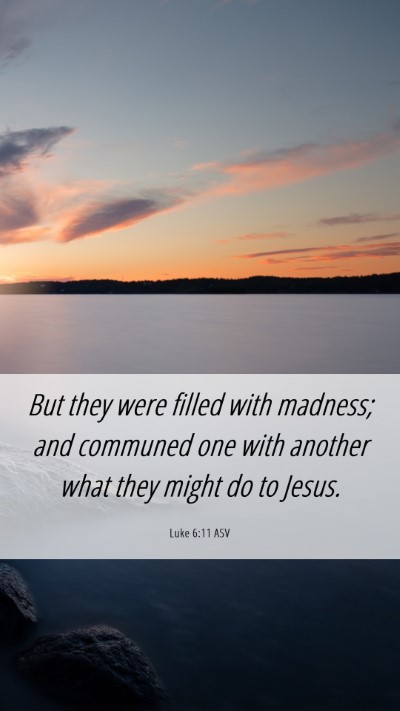 Picture 06 - Luke 6:11 ASV Mobile Phone Wallpaper - But they were filled with madness; and communed - Mobile Bible Verse Wallpaper