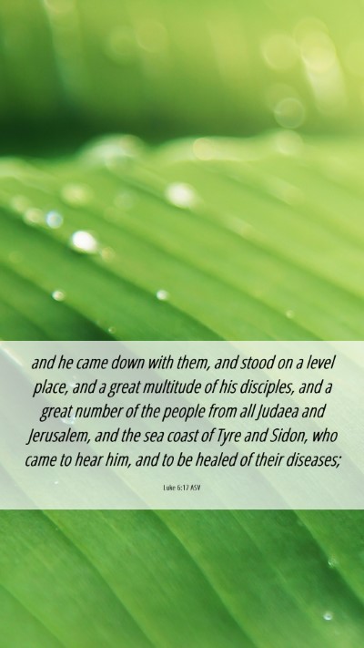 Picture 06 - Luke 6:17 ASV Mobile Phone Wallpaper - and he came down with them, and stood on a level - Mobile Bible Verse Wallpaper
