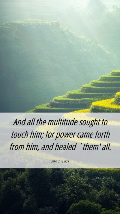 Picture 06 - Luke 6:19 ASV Mobile Phone Wallpaper - And all the multitude sought to touch him; for - Mobile Bible Verse Wallpaper