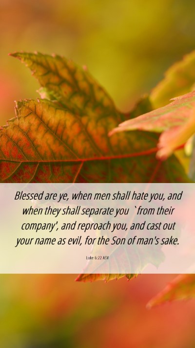 Picture 06 - Luke 6:22 ASV Mobile Phone Wallpaper - Blessed are ye, when men shall hate you, and when - Mobile Bible Verse Wallpaper
