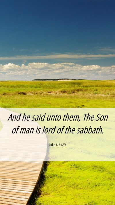 Picture 06 - Luke 6:5 ASV Mobile Phone Wallpaper - And he said unto them, The Son of man is lord of - Mobile Bible Verse Wallpaper