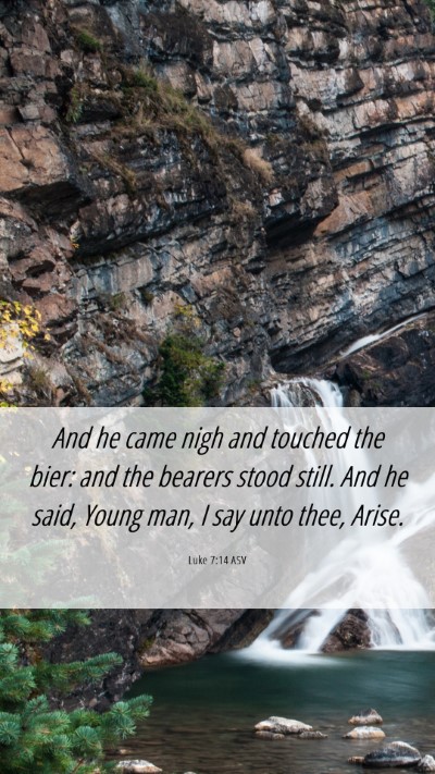 Picture 06 - Luke 7:14 ASV Mobile Phone Wallpaper - And he came nigh and touched the bier: and the - Mobile Bible Verse Wallpaper