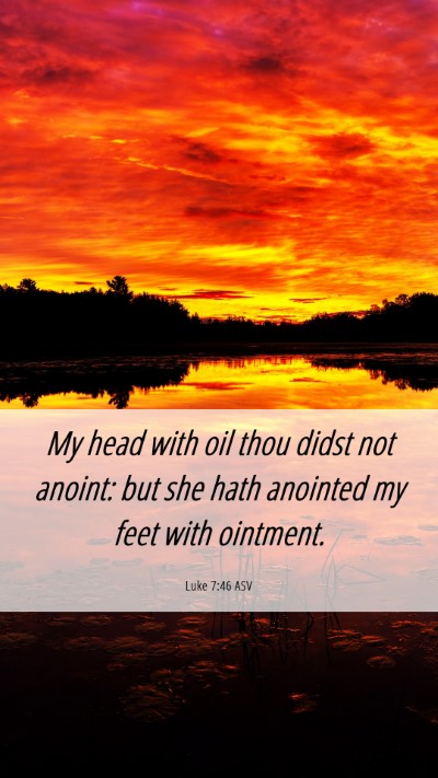 Picture 06 - Luke 7:46 ASV Mobile Phone Wallpaper - My head with oil thou didst not anoint: but she - Mobile Bible Verse Wallpaper