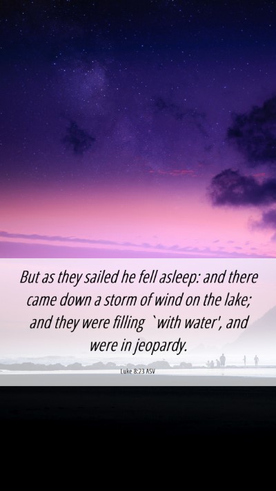 Picture 06 - Luke 8:23 ASV Mobile Phone Wallpaper - But as they sailed he fell asleep: and there came - Mobile Bible Verse Wallpaper
