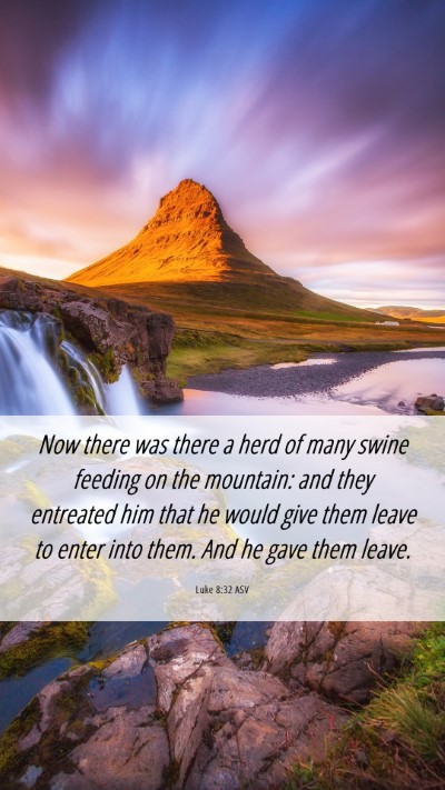 Picture 06 - Luke 8:32 ASV Mobile Phone Wallpaper - Now there was there a herd of many swine feeding - Mobile Bible Verse Wallpaper