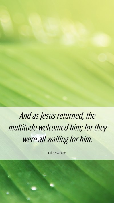 Picture 06 - Luke 8:40 ASV Mobile Phone Wallpaper - And as Jesus returned, the multitude welcomed - Mobile Bible Verse Wallpaper