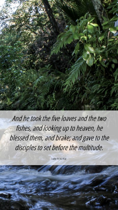 Picture 06 - Luke 9:16 ASV Mobile Phone Wallpaper - And he took the five loaves and the two fishes, - Mobile Bible Verse Wallpaper