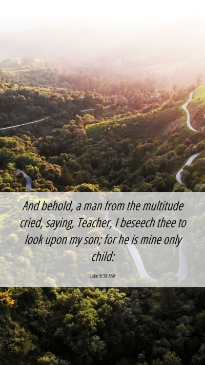 Picture 06 - Luke 9:38 ASV Mobile Phone Wallpaper - And behold, a man from the multitude cried, - Mobile Bible Verse Wallpaper