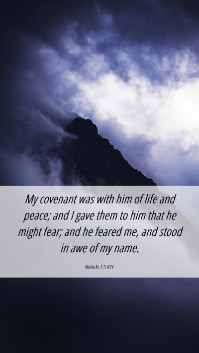 Picture 06 - Malachi 2:5 ASV Mobile Phone Wallpaper - My covenant was with him of life and peace; and I - Mobile Bible Verse Wallpaper