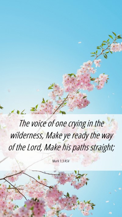 Picture 06 - Mark 1:3 ASV Mobile Phone Wallpaper - The voice of one crying in the wilderness, Make - Mobile Bible Verse Wallpaper