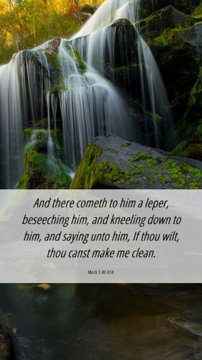 Picture 06 - Mark 1:40 ASV Mobile Phone Wallpaper - And there cometh to him a leper, beseeching him, - Mobile Bible Verse Wallpaper