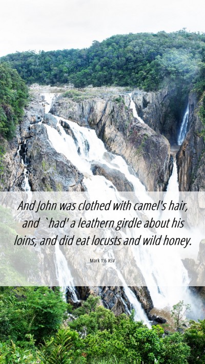 Picture 06 - Mark 1:6 ASV Mobile Phone Wallpaper - And John was clothed with camel's hair, and `had' - Mobile Bible Verse Wallpaper