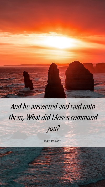 Picture 06 - Mark 10:3 ASV Mobile Phone Wallpaper - And he answered and said unto them, What did - Mobile Bible Verse Wallpaper