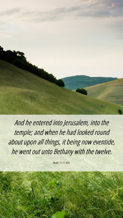 Picture 06 - Mark 11:11 ASV Mobile Phone Wallpaper - And he entered into Jerusalem, into the temple; - Mobile Bible Verse Wallpaper
