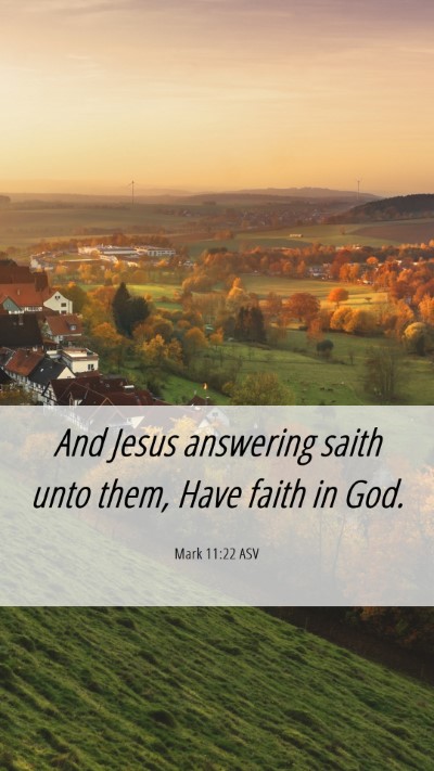 Picture 06 - Mark 11:22 ASV Mobile Phone Wallpaper - And Jesus answering saith unto them, Have faith - Mobile Bible Verse Wallpaper