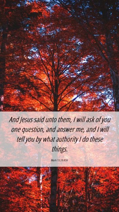 Picture 06 - Mark 11:29 ASV Mobile Phone Wallpaper - And Jesus said unto them, I will ask of you one - Mobile Bible Verse Wallpaper