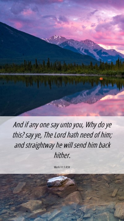 Picture 06 - Mark 11:3 ASV Mobile Phone Wallpaper - And if any one say unto you, Why do ye this? say - Mobile Bible Verse Wallpaper