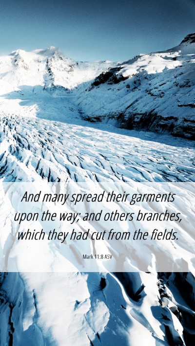 Picture 06 - Mark 11:8 ASV Mobile Phone Wallpaper - And many spread their garments upon the way; and - Mobile Bible Verse Wallpaper