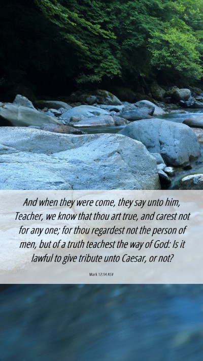 Picture 06 - Mark 12:14 ASV Mobile Phone Wallpaper - And when they were come, they say unto him, - Mobile Bible Verse Wallpaper