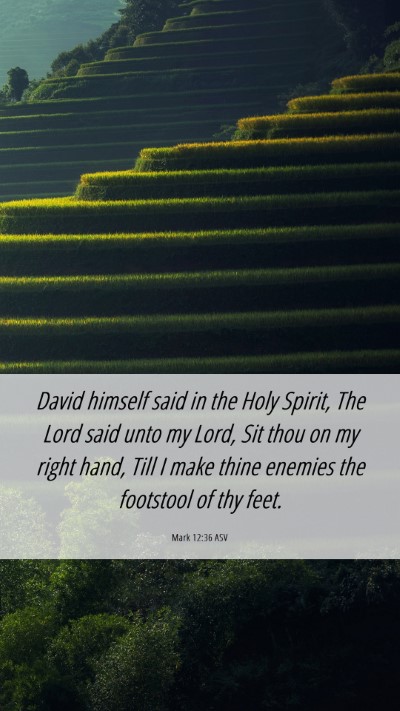 Picture 06 - Mark 12:36 ASV Mobile Phone Wallpaper - David himself said in the Holy Spirit, The Lord - Mobile Bible Verse Wallpaper