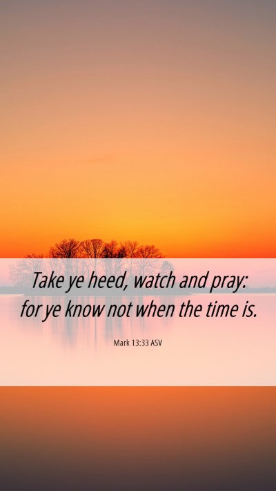 Picture 06 - Mark 13:33 ASV Mobile Phone Wallpaper - Take ye heed, watch and pray: for ye know not - Mobile Bible Verse Wallpaper