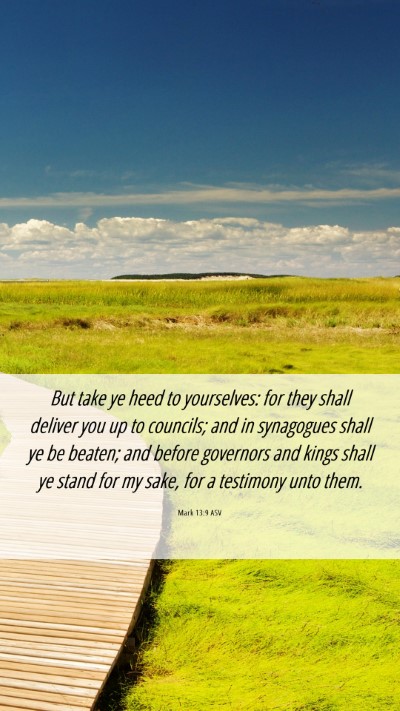 Picture 06 - Mark 13:9 ASV Mobile Phone Wallpaper - But take ye heed to yourselves: for they shall - Mobile Bible Verse Wallpaper