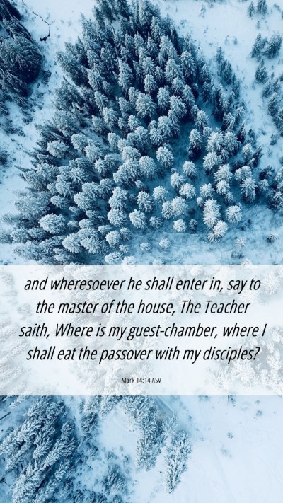 Picture 06 - Mark 14:14 ASV Mobile Phone Wallpaper - and wheresoever he shall enter in, say to the - Mobile Bible Verse Wallpaper