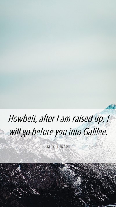 Picture 06 - Mark 14:28 ASV Mobile Phone Wallpaper - Howbeit, after I am raised up, I will go before - Mobile Bible Verse Wallpaper