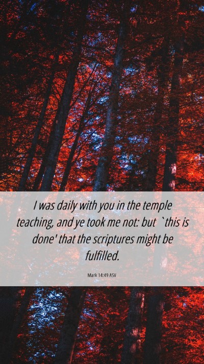 Picture 06 - Mark 14:49 ASV Mobile Phone Wallpaper - I was daily with you in the temple teaching, and - Mobile Bible Verse Wallpaper