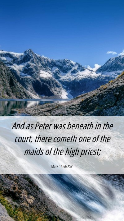 Picture 06 - Mark 14:66 ASV Mobile Phone Wallpaper - And as Peter was beneath in the court, there - Mobile Bible Verse Wallpaper