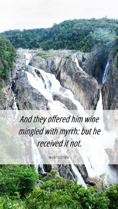 Picture 06 - Mark 15:23 ASV Mobile Phone Wallpaper - And they offered him wine mingled with myrrh: but - Mobile Bible Verse Wallpaper