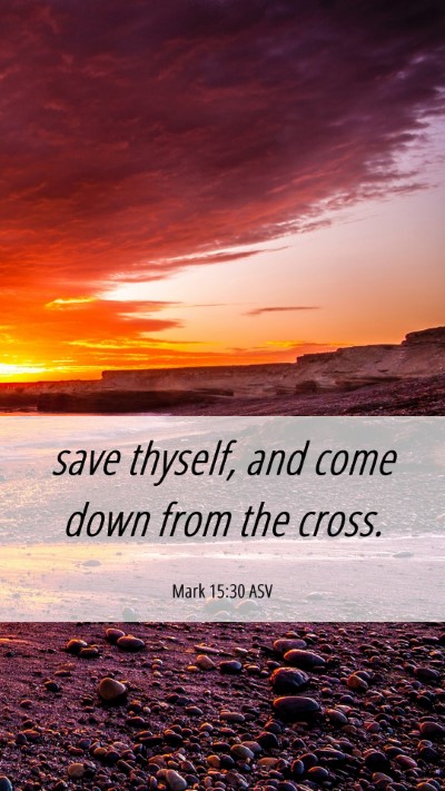 Picture 06 - Mark 15:30 ASV Mobile Phone Wallpaper - save thyself, and come down from the - Mobile Bible Verse Wallpaper