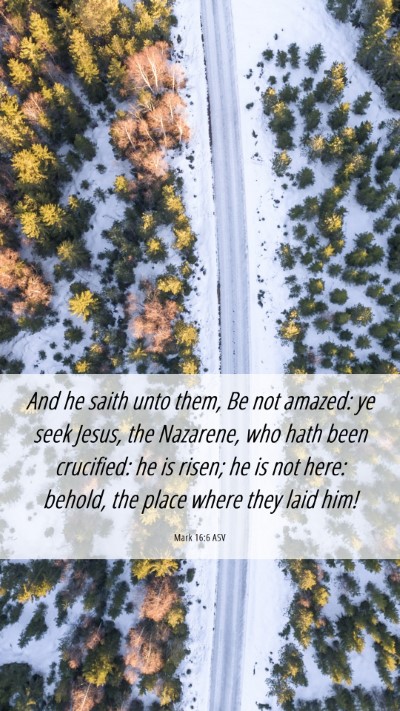 Picture 06 - Mark 16:6 ASV Mobile Phone Wallpaper - And he saith unto them, Be not amazed: ye seek - Mobile Bible Verse Wallpaper