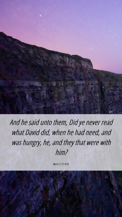 Picture 06 - Mark 2:25 ASV Mobile Phone Wallpaper - And he said unto them, Did ye never read what - Mobile Bible Verse Wallpaper