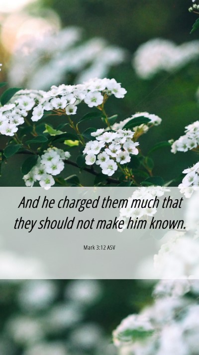 Picture 06 - Mark 3:12 ASV Mobile Phone Wallpaper - And he charged them much that they should not - Mobile Bible Verse Wallpaper