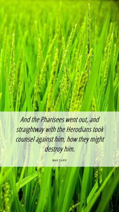Picture 06 - Mark 3:6 ASV Mobile Phone Wallpaper - And the Pharisees went out, and straightway with - Mobile Bible Verse Wallpaper