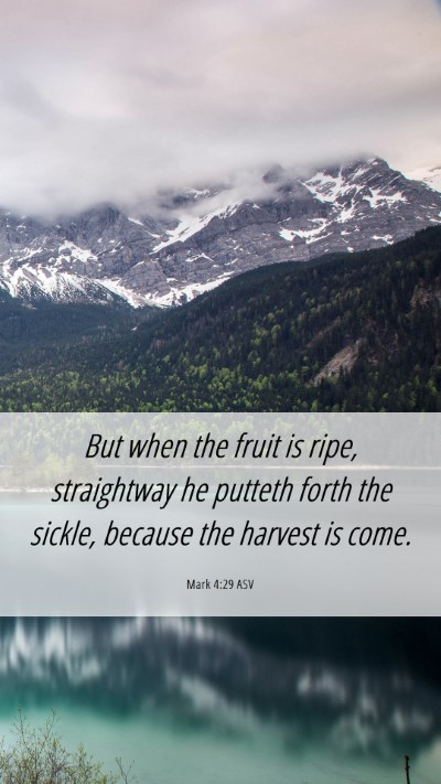 Picture 06 - Mark 4:29 ASV Mobile Phone Wallpaper - But when the fruit is ripe, straightway he - Mobile Bible Verse Wallpaper