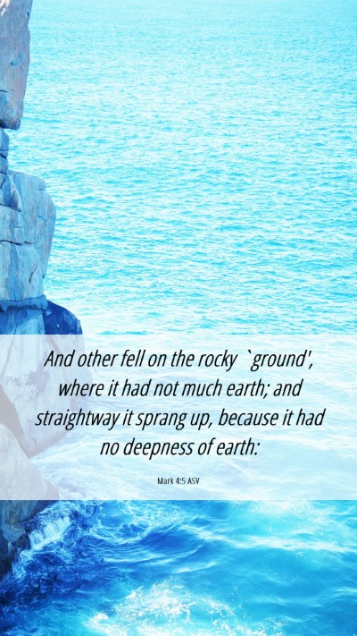 Picture 06 - Mark 4:5 ASV Mobile Phone Wallpaper - And other fell on the rocky `ground', where it - Mobile Bible Verse Wallpaper