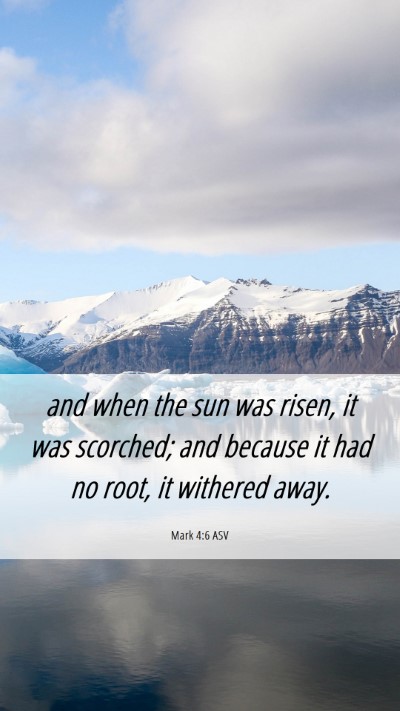 Picture 06 - Mark 4:6 ASV Mobile Phone Wallpaper - and when the sun was risen, it was scorched; and - Mobile Bible Verse Wallpaper