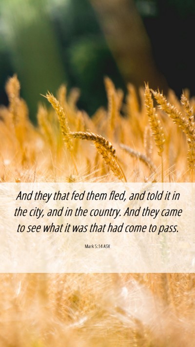 Picture 06 - Mark 5:14 ASV Mobile Phone Wallpaper - And they that fed them fled, and told it in the - Mobile Bible Verse Wallpaper