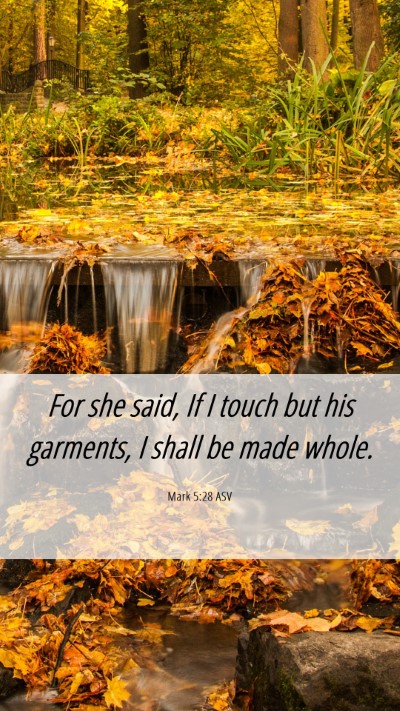 Picture 06 - Mark 5:28 ASV Mobile Phone Wallpaper - For she said, If I touch but his garments, I - Mobile Bible Verse Wallpaper